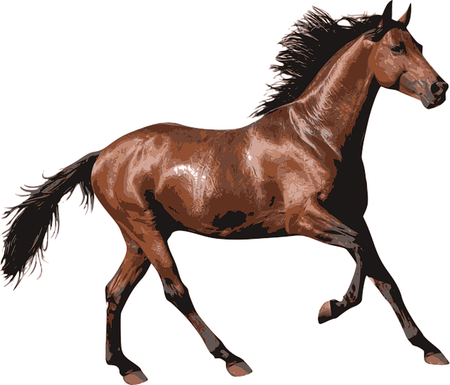 horse 1297225 640